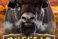 Buffalo Trail Dice