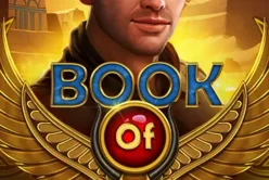 Book of Gods Dice