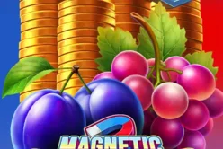 Magnetic Coins