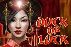 Duck of Luck