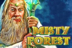 Misty Forest