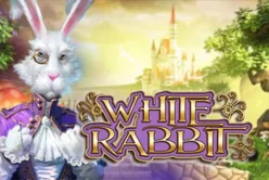 White Rabbit