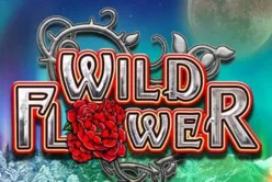 Wild Flower