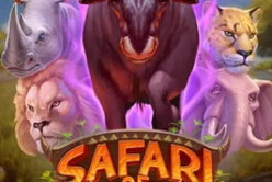 Safari of Wealth