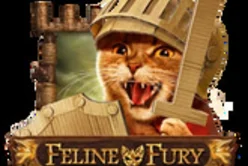 Feline Fury