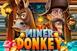 Miner Donkey Trouble