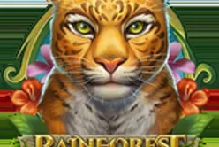 Rainforest Magic