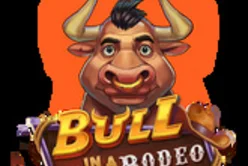 Bull in a Rodeo