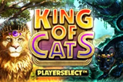 King of Cats