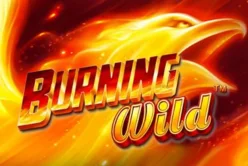 Burning Wild™