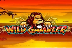 Wild Gambler