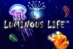 Luminous Life