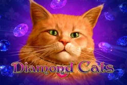 Diamond Cats