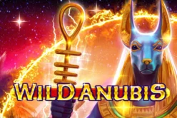 Wild Anubis