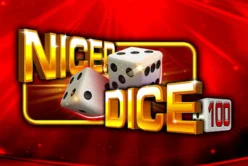Nicer Dice 100
