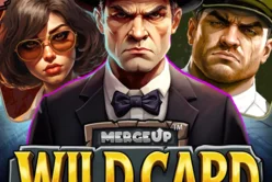 Wild Card Gang