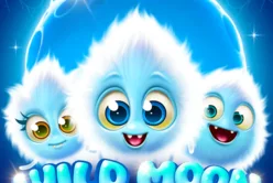 Wild Moon Thieves