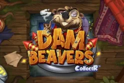 Dam Beavers