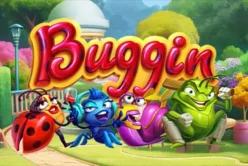 Buggin