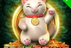Jade Coins