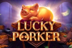 Lucky Porker