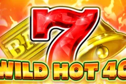 Wild Hot 40