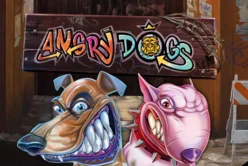 Angry Dogs