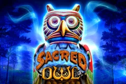Sacred Owl