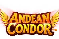 Andean Condor