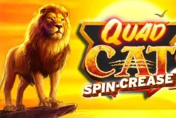 Quad Cat