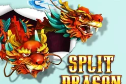 Split Dragon