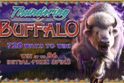 Thundering Buffalo