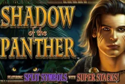 Shadow of the Panther