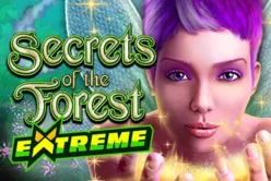 Secrets of the Forest Extreme