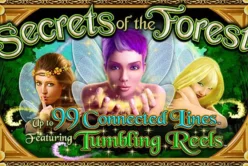 Secrets of the Forest