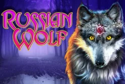 Russian Wolf