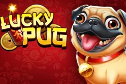 Lucky Pug