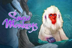 Snow Monkeys