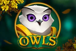 Owls