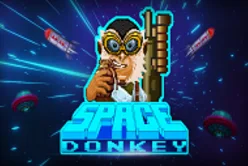 Space Donkey
