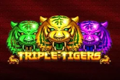 Triple Tigers™