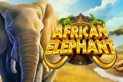 African Elephant™