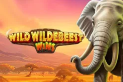 Wild Wildebeest Wins