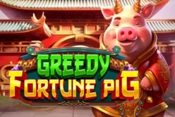 Greedy Fortune Pig