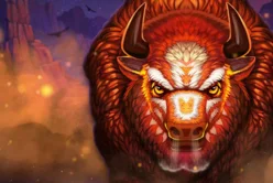 Bison Battle