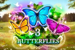 3 Butterflies