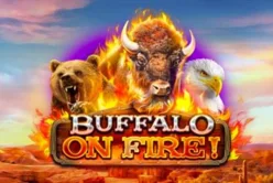 Buffalo on Fire!
