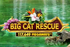 Big Cat Rescue MegaWays™