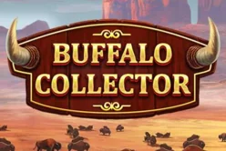 Buffalo Collector