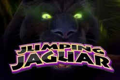 Jumping Jaguar